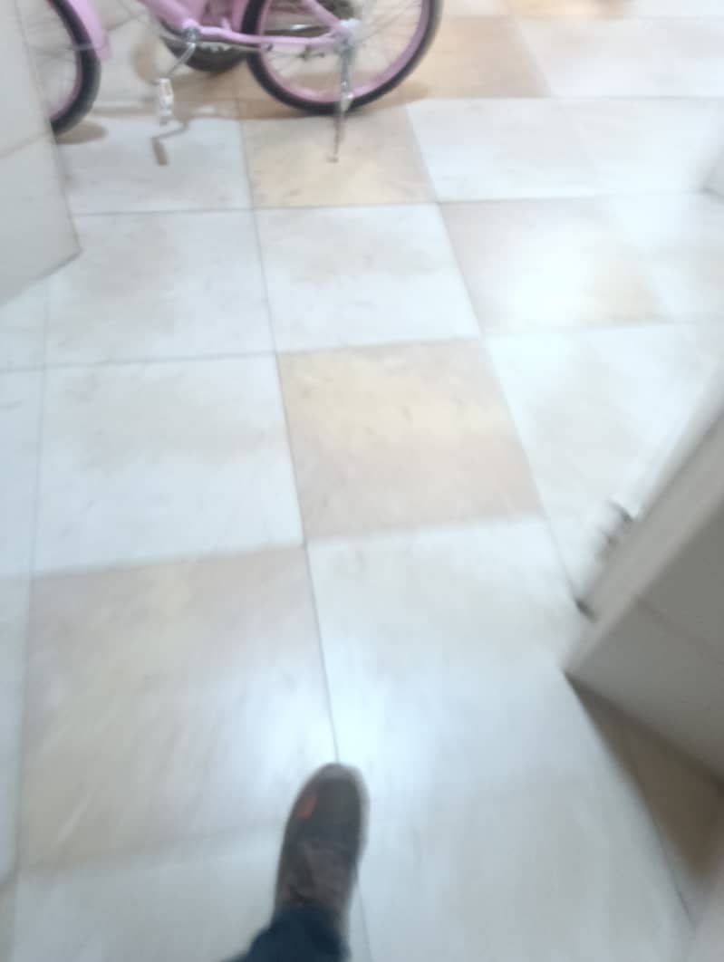 12 IMG20250929135743. jpg