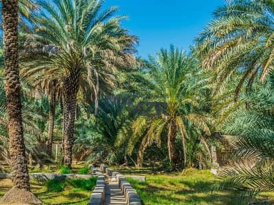 Plot for Sale in Al Sad, Al Ain - Expansive Agricultural Land | Al Sad | Good Location