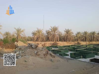 Plot for Sale in Al Helio, Ajman - WhatsApp Image 2025-10-02 at 6.52. 20 PM (1). jpeg