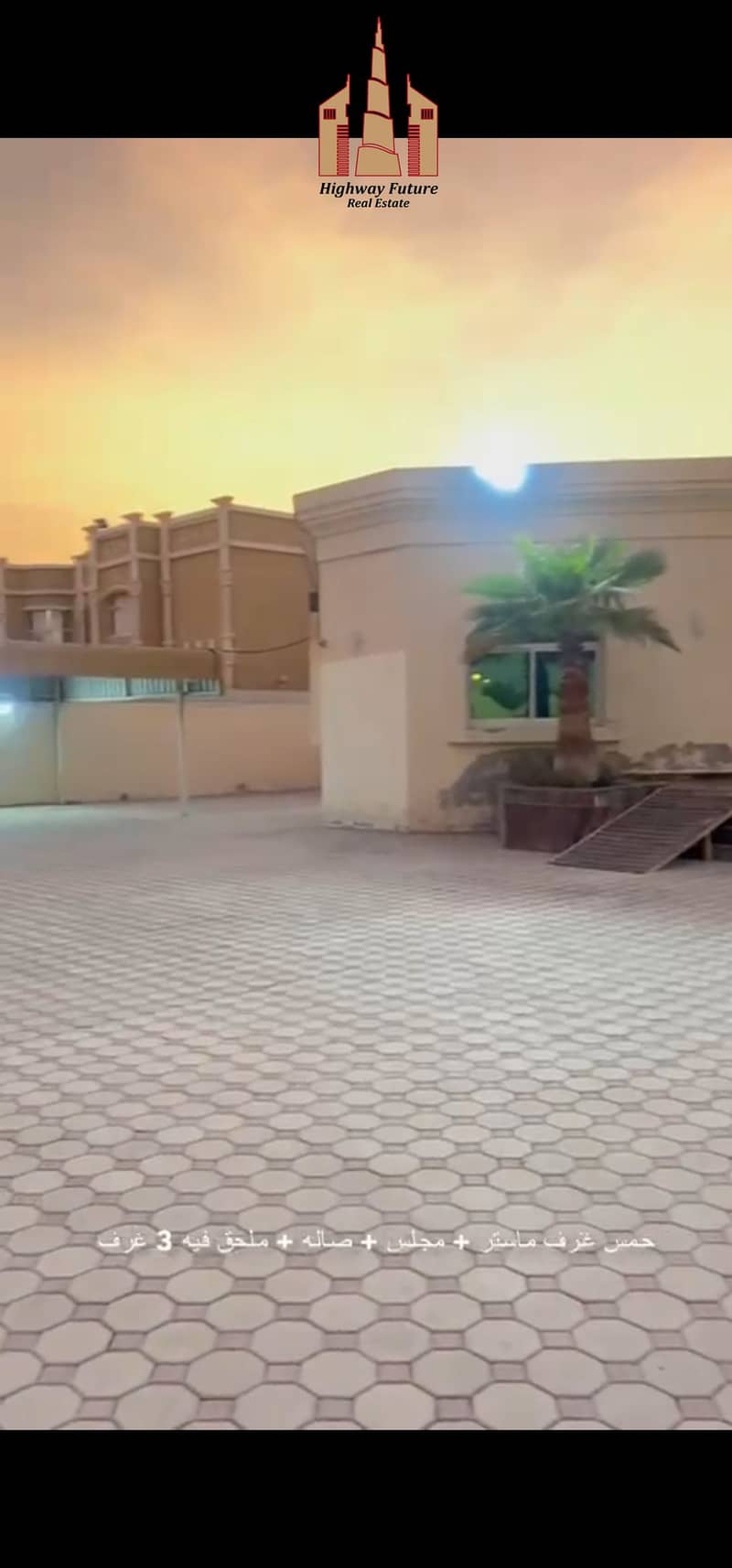 2 215325. jpg