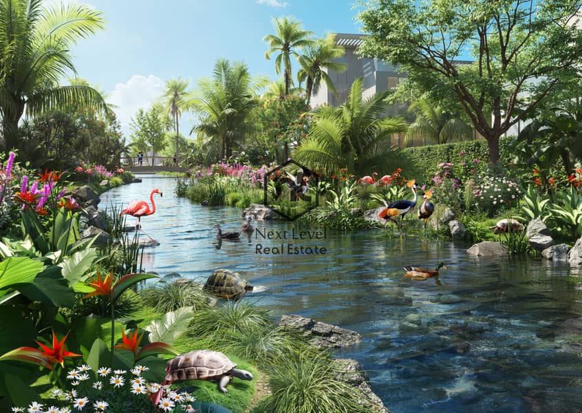 4 10-tortoise Garden. jpg