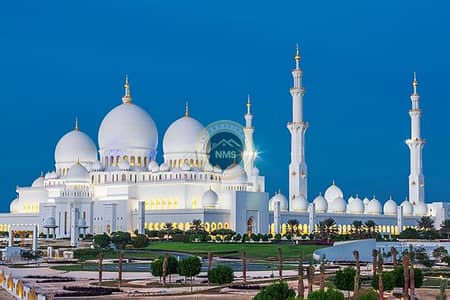 فلیٹ 1 غرفة نوم للايجار في الروضة، أبوظبي - ZAYED MASJID. jpg