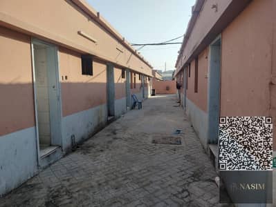 سكن عمال  للايجار في الجرف، عجمان - 73fac43a-c005-4341-a04c-48328a03326e. jpg
