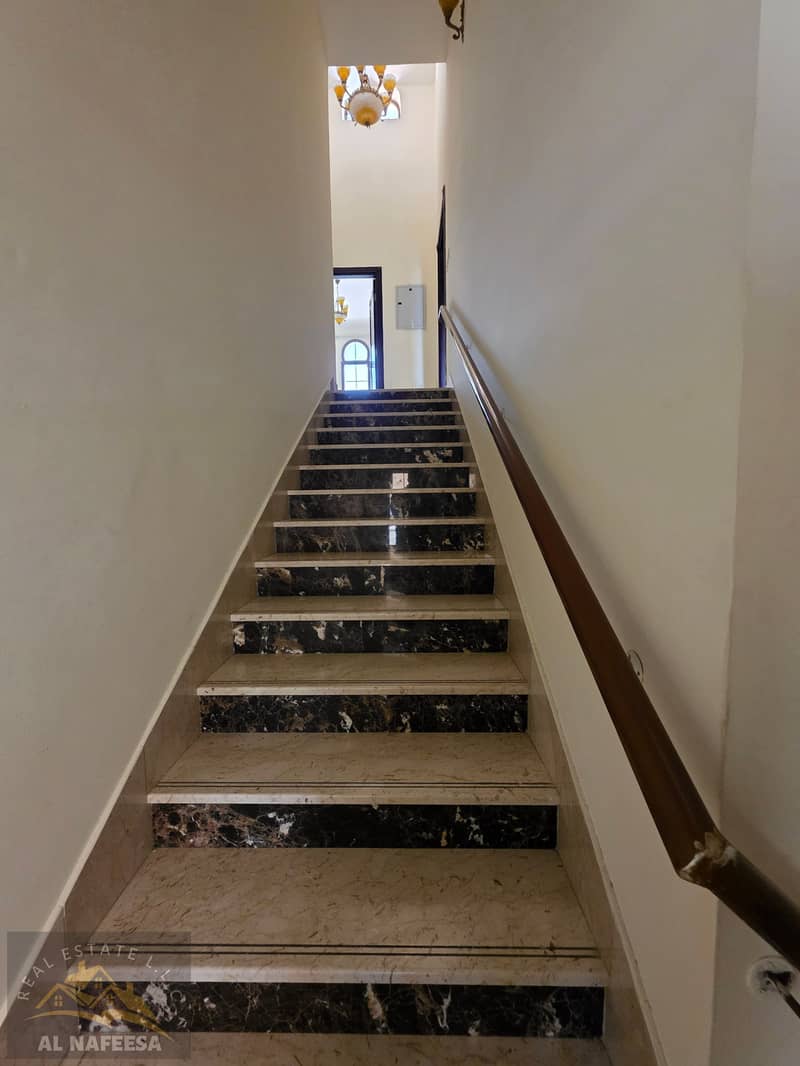 6 1000044040. jpg