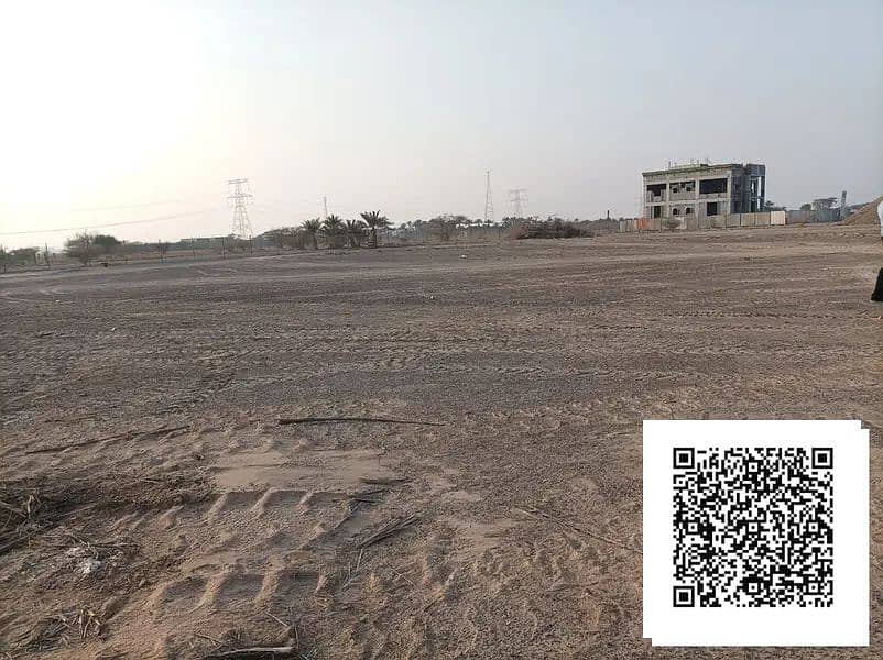 1000133526. webp