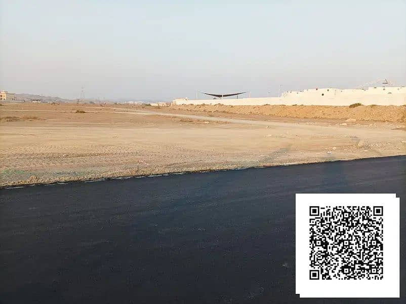 3 1000133529. webp