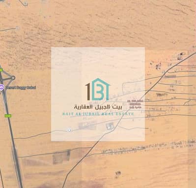 ارض سكنية  للبيع في البليدة، الشارقة - لقطة شاشة_5-10-2025_162913_www. google. com. jpeg