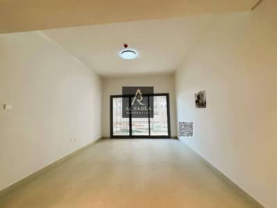 1 Bedroom Apartment for Sale in Al Amerah, Ajman - 6c805786-417b-431d-8d3e-c3317c1c894d. jpg