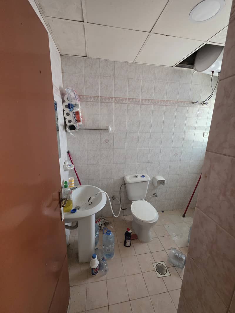 7 1000055369. jpg