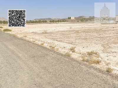 ارض سكنية  للبيع في مصفوت، عجمان - 1. jpg
