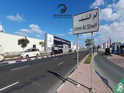 ارض سكنية  للبيع في أم الشيف، دبي - Umm_Al_Sheif_Cover_11_5_23_ac47ea40a2. jpg