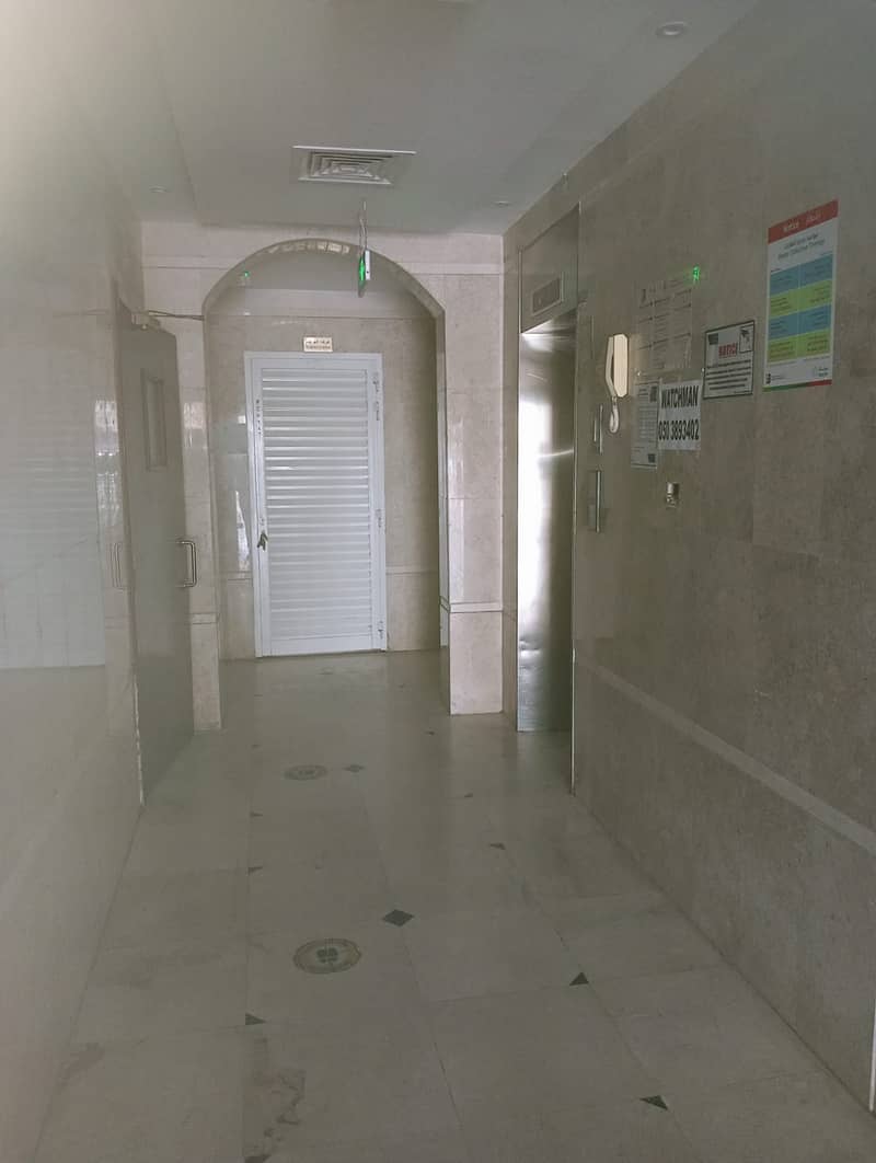 3 WhatsApp Image 2023-02-12 at 4.46. 23 PM. jpeg