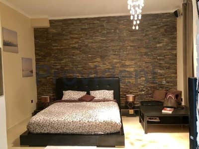 Upgraded Spacious Studio Upgraded Spacious Studio