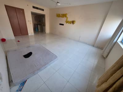 Large Studio in Falcon Towers