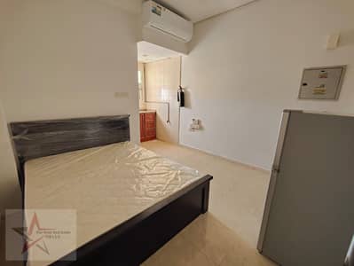 Студия в аренду в Бу Тина, Шарджа - 1000340679. jpg