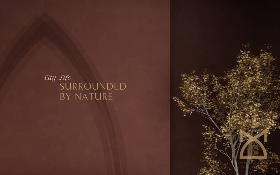 17 PALACE_RESIDENCES_DHE_BROCHURE_page-0002. jpg