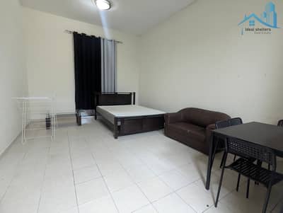 استوديو  للايجار في ديسكفري جاردنز، دبي - PXL_20240925_142110639. jpg