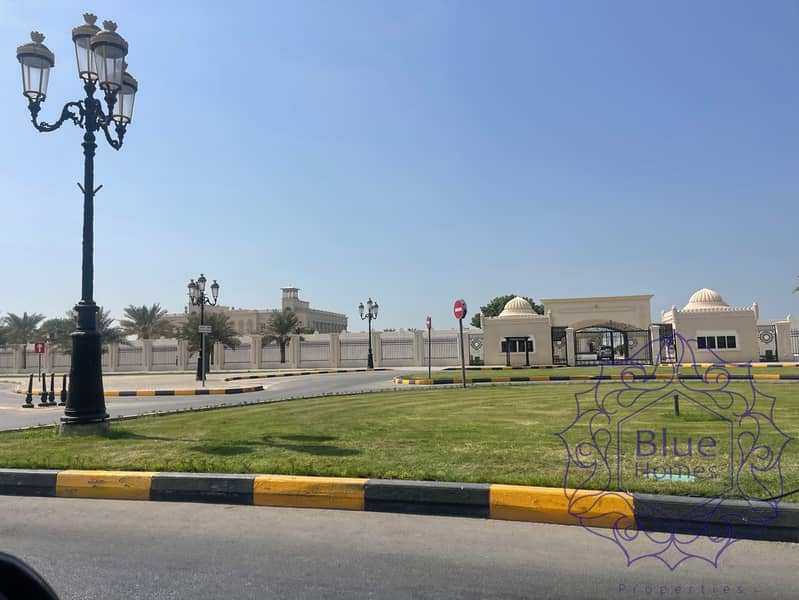 5 IMG_3344. jpeg