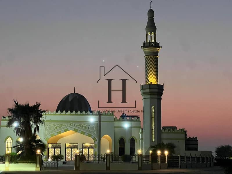 12 yv mosque. jpeg