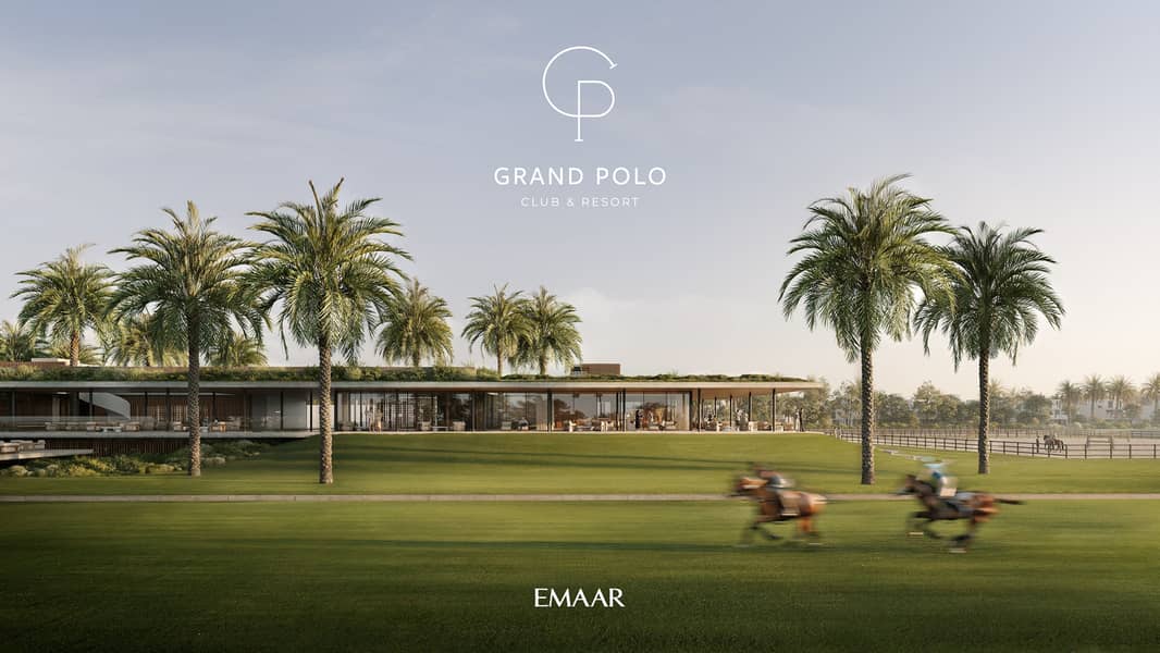 4 GRAND_POLO_IMAGE2. jpg