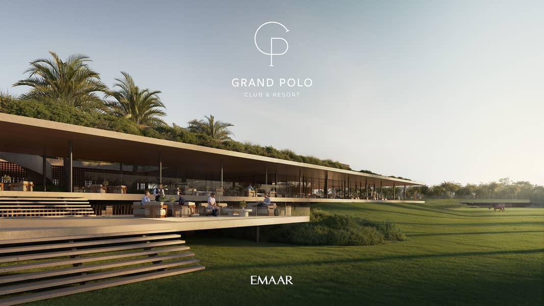 5 GRAND_POLO_IMAGE3. jpg