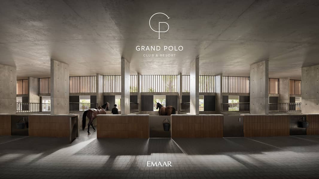 4 GRAND_POLO_IMAGE19. jpg