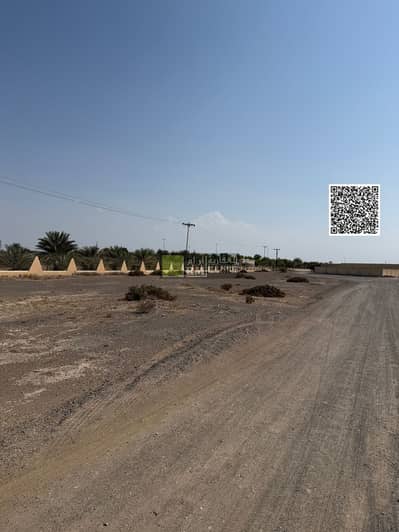 Plot for Sale in Al Manama, Ajman - IMG-20251006-WA0374. jpg Plot for Sale in Al Manama, Ajman - IMG-20251006-WA0374. jpg