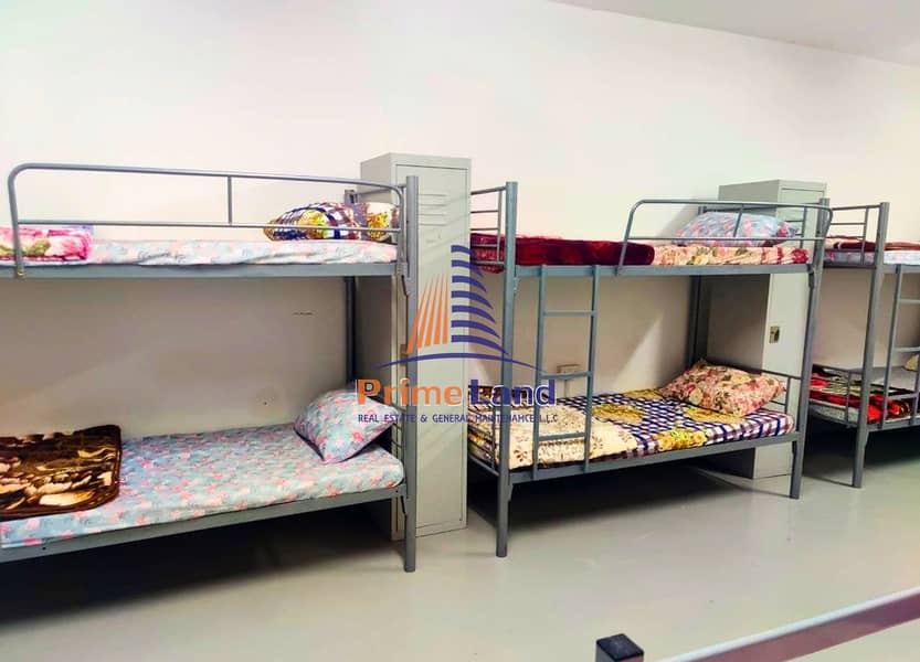 3 Labour camp 3. png