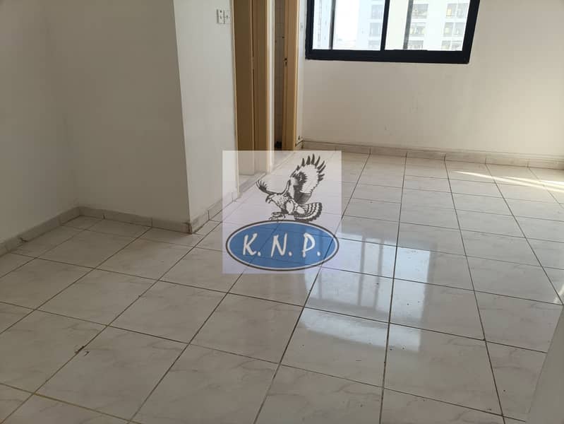 24 IMG20250113113326. jpg