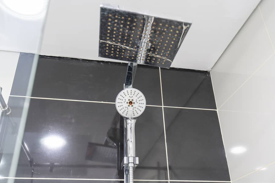 25 GCS03355. jpg