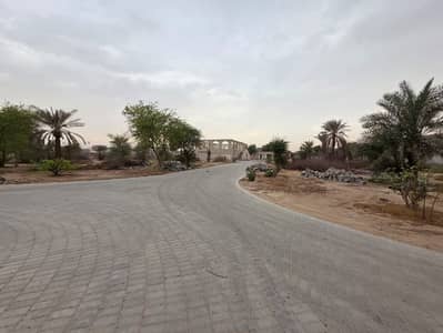Plot in vendita a Al Yasmeen, Ajman - 0c1612f0-d8cc-4017-91d3-9170856f05b8. jpg Plot in vendita a Al Yasmeen, Ajman - 0c1612f0-d8cc-4017-91d3-9170856f05b8. jpg