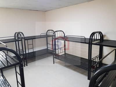Labour Camp for Rent in Musaffah, Abu Dhabi - IMG-20251014-WA0002 - Copy. jpg Labour Camp for Rent in Musaffah, Abu Dhabi - IMG-20251014-WA0002 - Copy. jpg