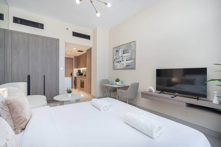 Fully Furnished Studio apartment - Image 9