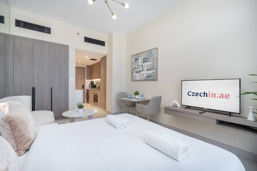 Fully Furnished Studio apartment - Image 11