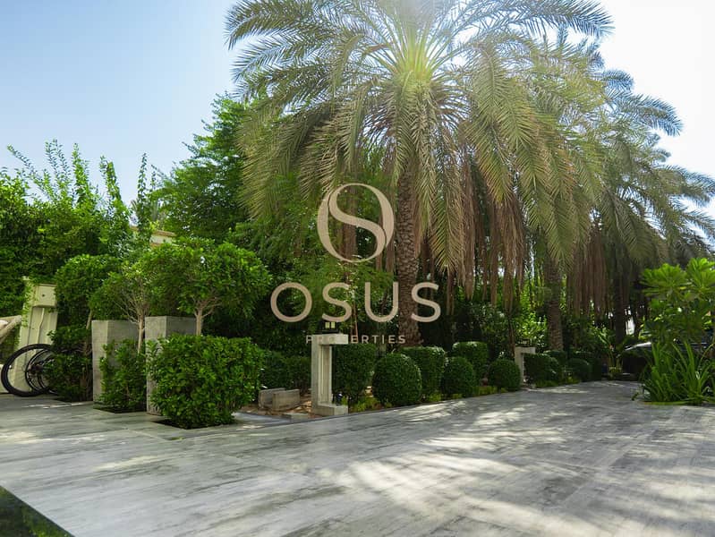 Modern | Turneky | Elevated Plot - Image 38