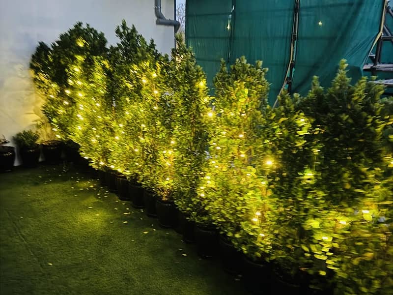 UPGRADED - FURNISHED -2 BR+M - LAKE VIEW - Image 23