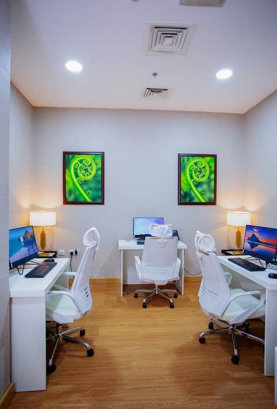 Near Mall | Best Location | Fully Furnished - Image 11