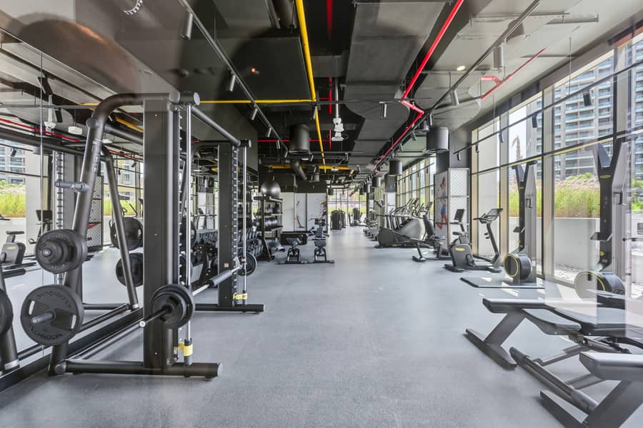 27 ZOH_7003. jpg