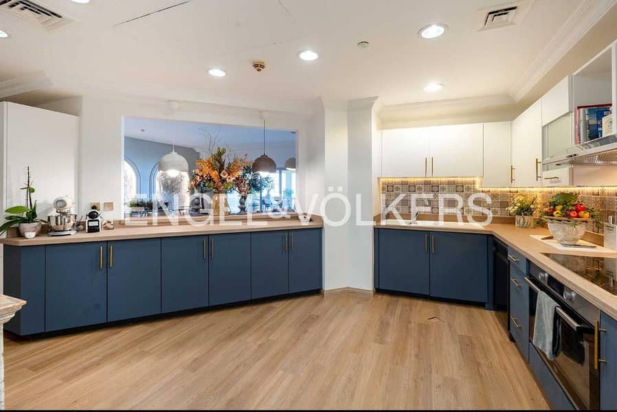 Elegant Unit | Upgraded A-Type | Fully Upgraded - Image 9