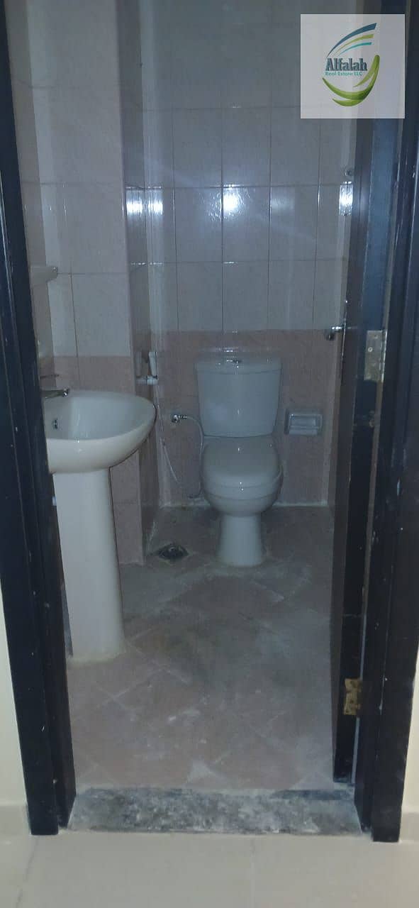 3 1000215109. jpg