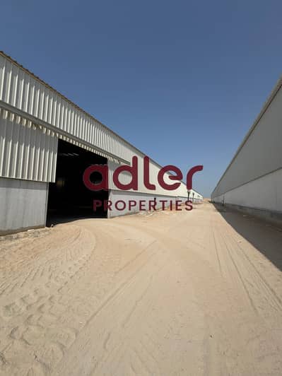 Warehouse for Rent in Umm Al Thuoob, Umm Al Quwain - 0c353682-d79b-4190-a722-78492b2aa856. jpg Warehouse for Rent in Umm Al Thuoob, Umm Al Quwain - 0c353682-d79b-4190-a722-78492b2aa856. jpg