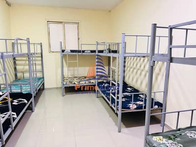 Labour Camp for Rent in Musaffah, Abu Dhabi - IMG_4531. jpg Labour Camp for Rent in Musaffah, Abu Dhabi - IMG_4531. jpg