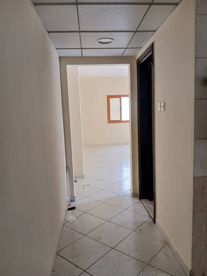 3 38540. jpg