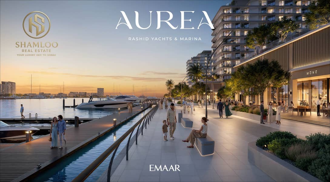 5 AUREA_RYM_BR5. jpg