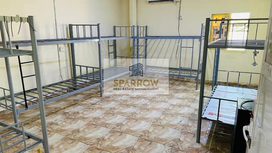 Labour Camp zum zur Miete in Musaffah, Abu Dhabi - WhatsApp Image 2025-10-14 at 11.33. 22 PM (3). jpeg Labour Camp zum zur Miete in Musaffah, Abu Dhabi - WhatsApp Image 2025-10-14 at 11.33. 22 PM (3). jpeg