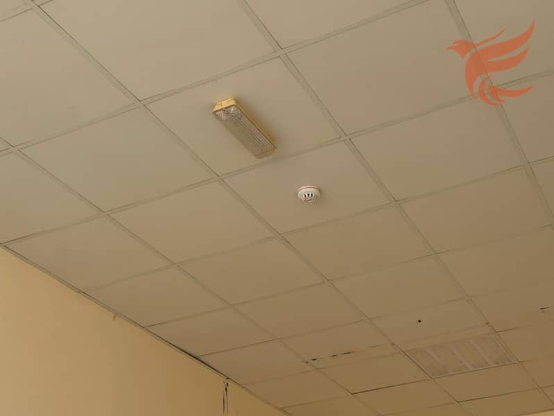 13 IMG-20251022-WA0072. jpg