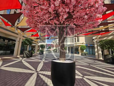 Studios for Rent in Muwaileh Rent Studio Apartment