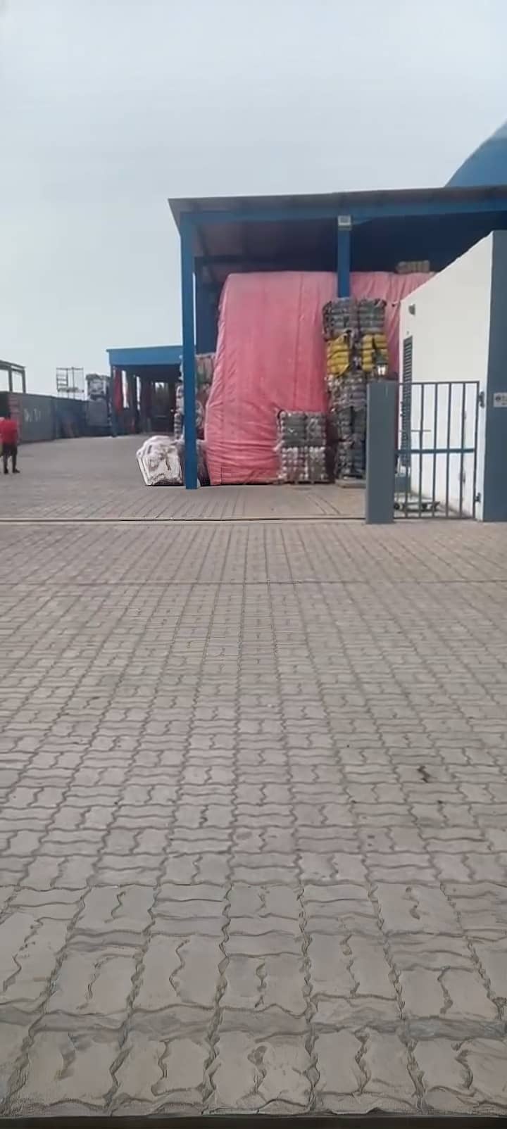 10 1000117129. jpg