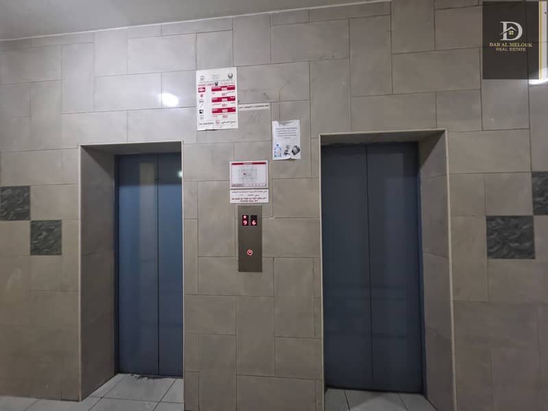 17 1000015829. jpg