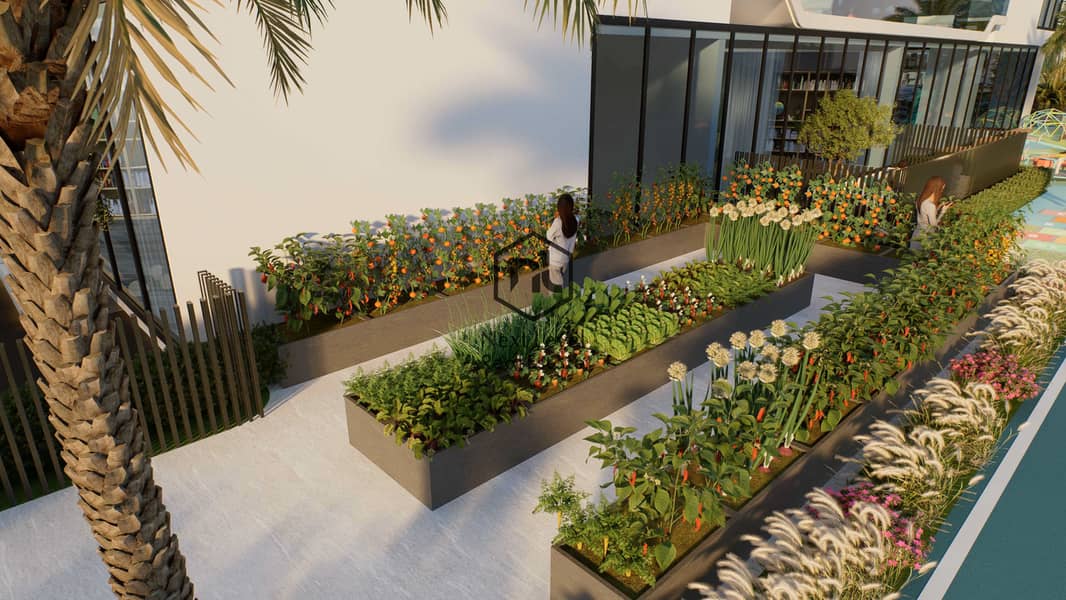 40 veg garden. png